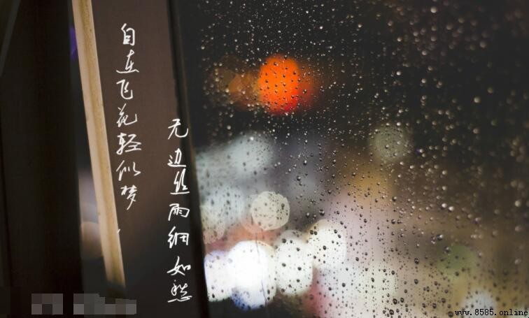 自在飛花輕似夢無邊絲雨細如愁的意思與解析