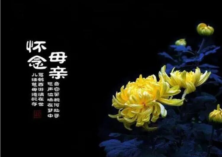 懷念天堂上已逝母親的話語集