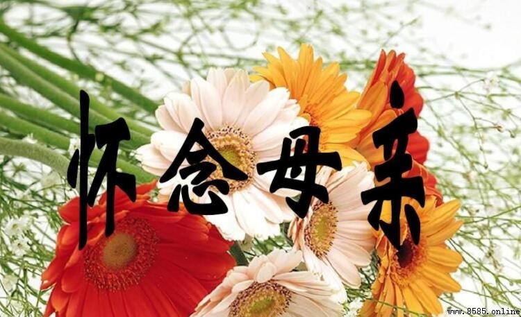 懷念逝去媽媽的話語錄：深切思念與溫馨回憶
