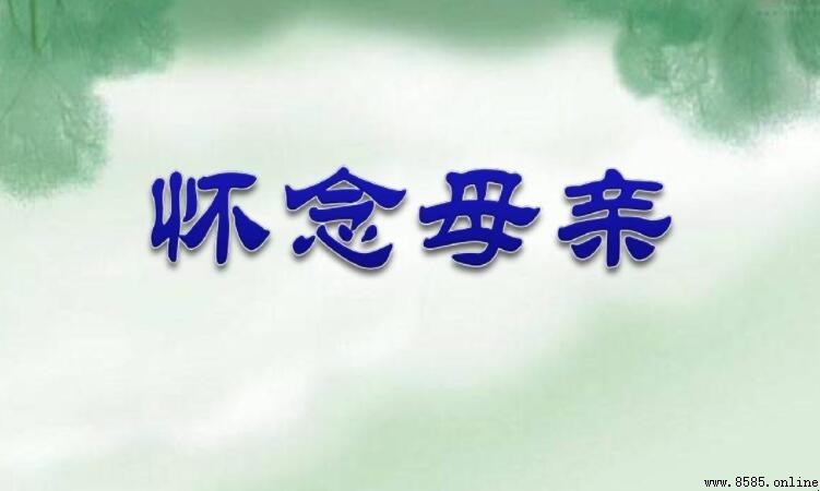 《怀念母亲》读后感怎么写