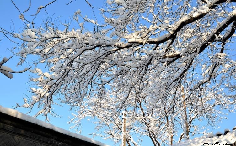 關於春雪的詩句:古典詩文中的冬末春初之景