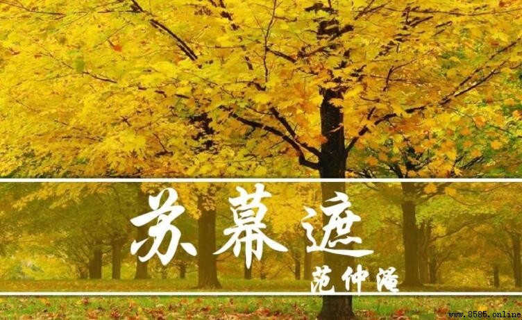 《蘇幕遮·懷舊》作者是誰