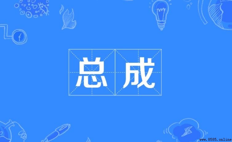 總成的定義與解釋