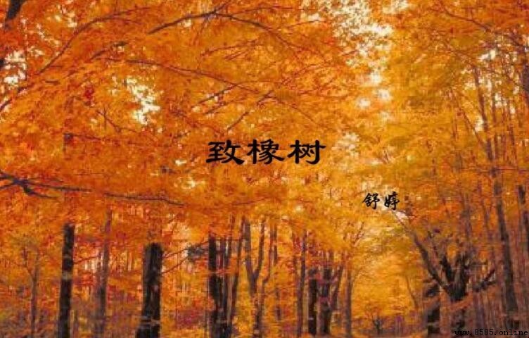《致橡樹》的愛情觀解析