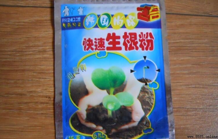 生根粉可以澆土裡嗎?正確使用方法及注意事項