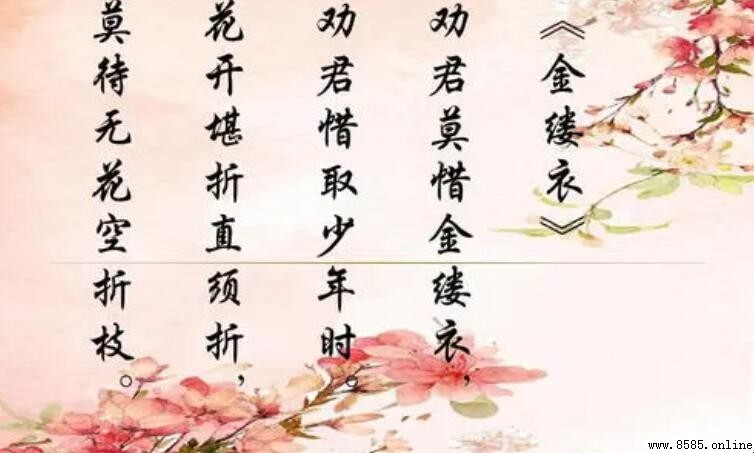 《金縷衣》的創作背景與含義解析