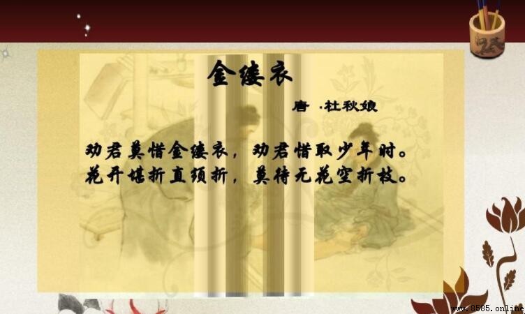 《金縷衣》屬於何種詩體？解析其樂府特徵