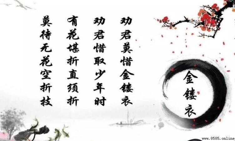 《金縷衣》的作者:唐代无名氏與其詩意解析