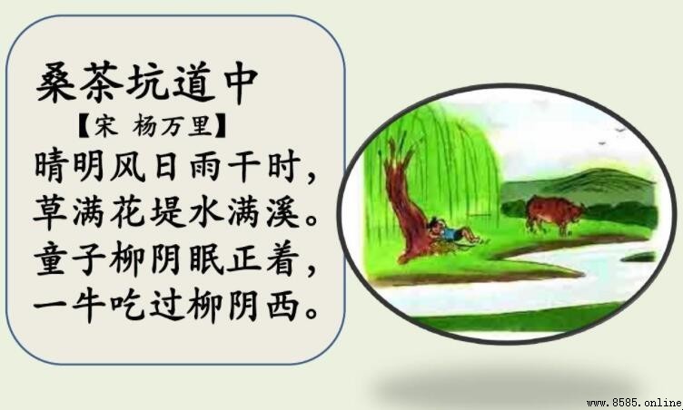 《桑茶坑道中》作者是誰?解析楊萬裡及其詩作特色