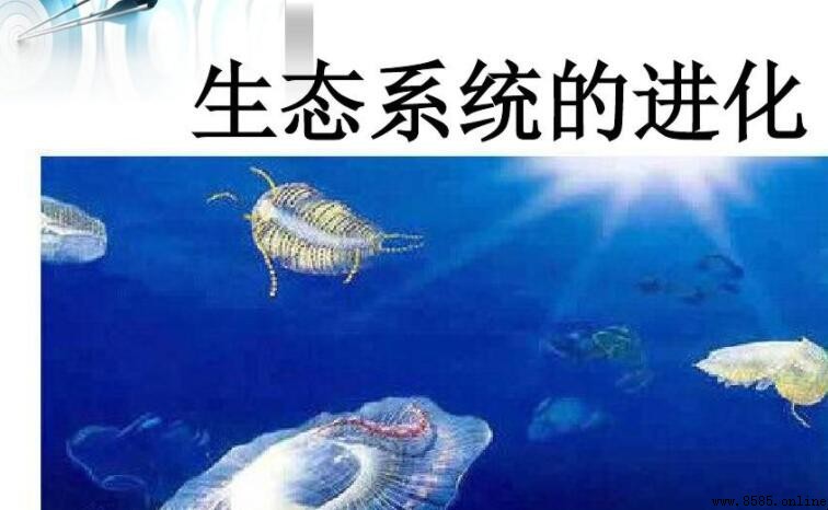 生態系統的穩定性是什麼