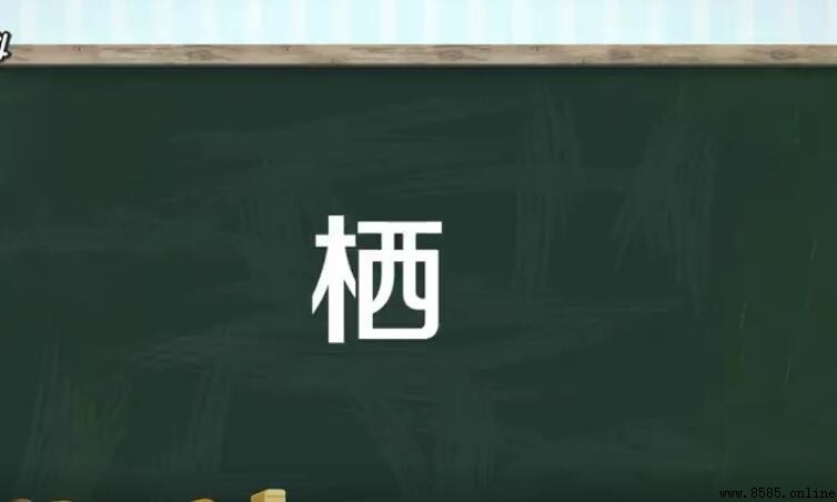 棲的組詞有哪些