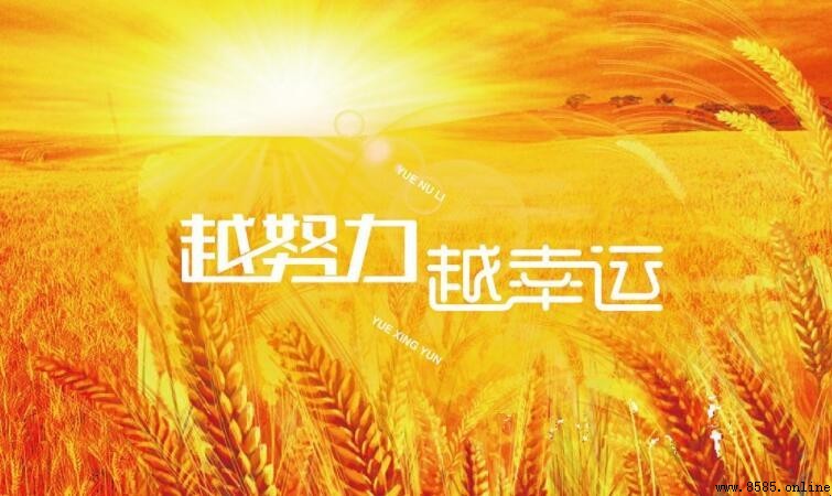 有付出就有收获的经典语录分享
