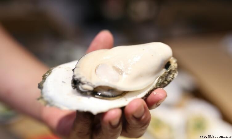 生蠔已死能否食用？