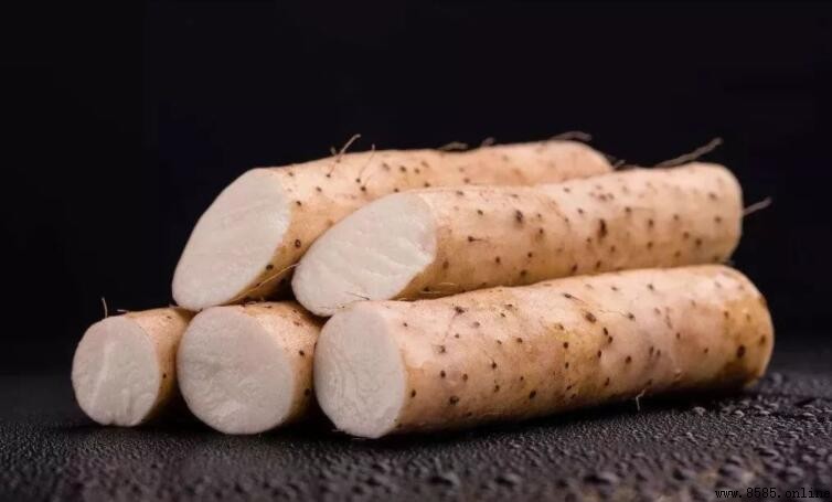 脾虛濕氣重應吃什麼食物？7款清濕食材推薦