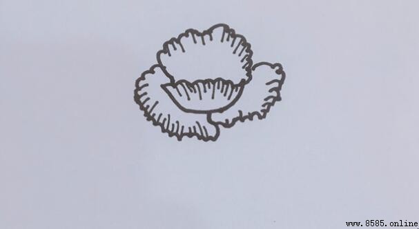 罂粟花簡筆畫教程：四步繪製技巧