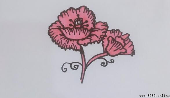 罂粟花簡筆畫教程：四步繪製技巧