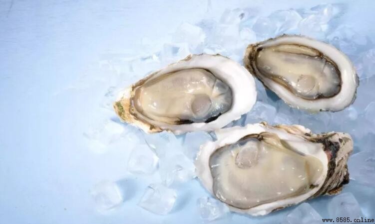 生蚝是海鮮嗎？解答關於生蚝的常見疑問