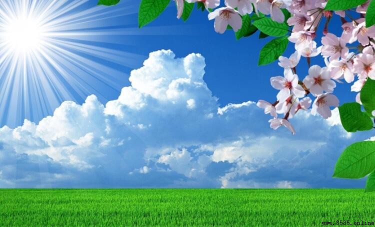 一個季度多少天？解析四季的天數差異