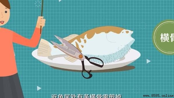 河豚怎樣處理才無毒?關鍵步驟解析