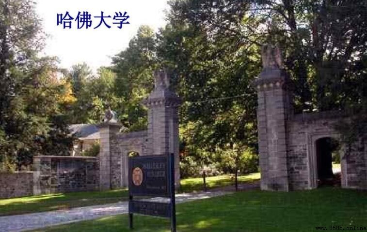 哈佛大學碩士申請流程解析