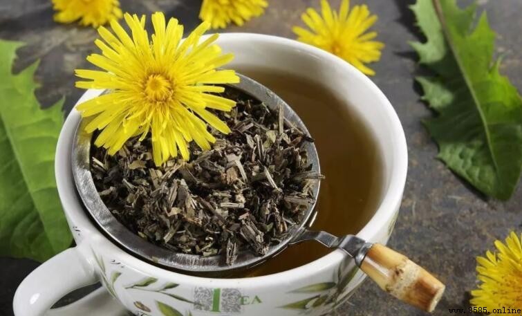 喝蒲公英茶有什么好处