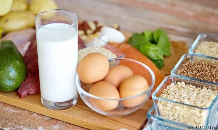 動物蛋白質食物有哪些?完整清單與營養價值解析