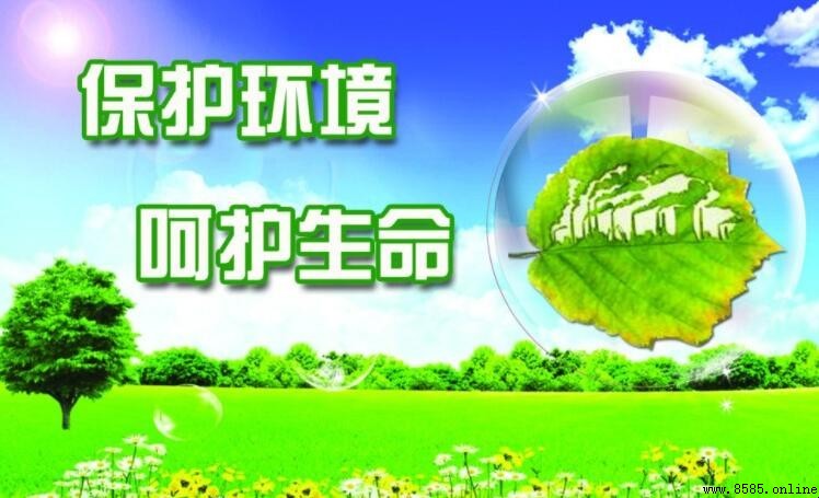 環境保護宣傳口號：提升公眾環保意識的語錄集