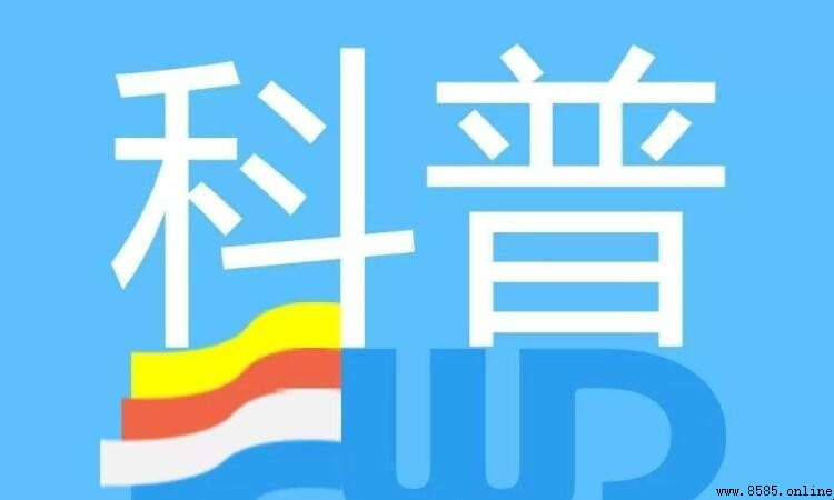 科普手抄报内容大全