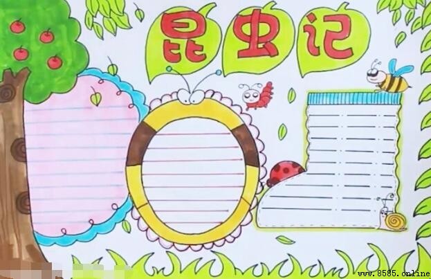 如何绘制昆虫记手抄报——分步图解教程