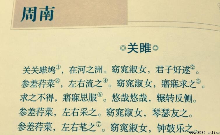 關關之鳩在河之洲出處