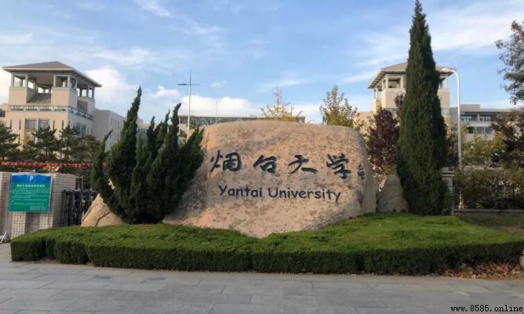煙台大學是一本嗎?全面解析其學歷屬性與背景