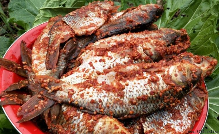 淹魚該放多少鹽?