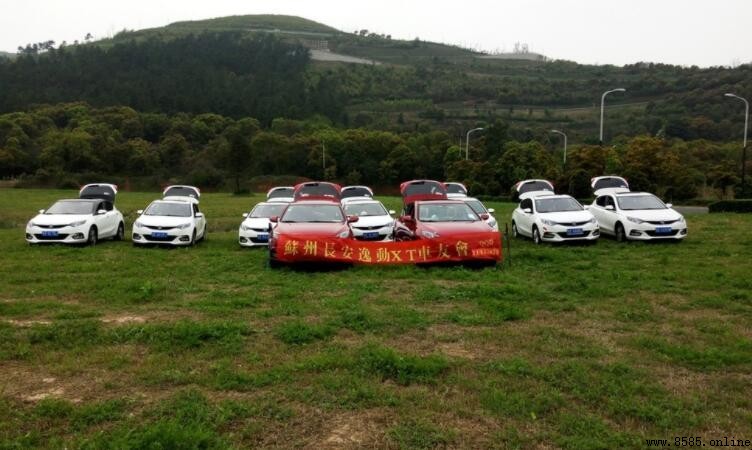 車友會是幹嘛的?全面解析車友會的功能與意義