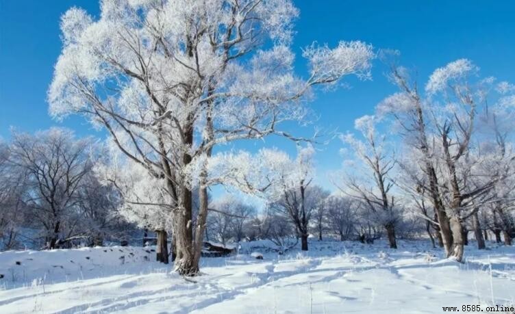 雪的描寫有哪些