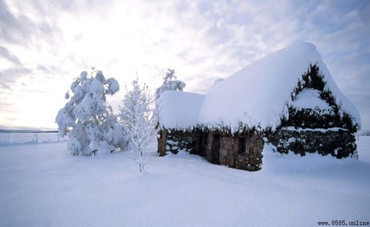 現代詩中的雪:幾首值得品讀的雪花詩篇