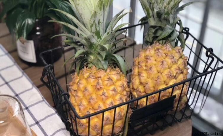 跟菠蘿長得一樣的水果是什麼