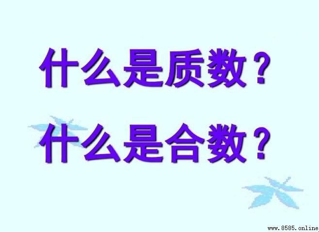 251 是質數嗎？解答