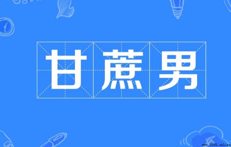 「甘蔗男」詞語來源與含義解析
