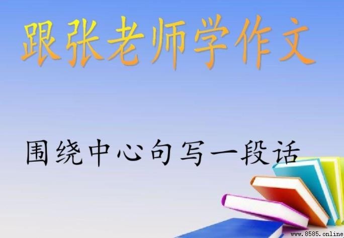 中心句的特點與功能解析