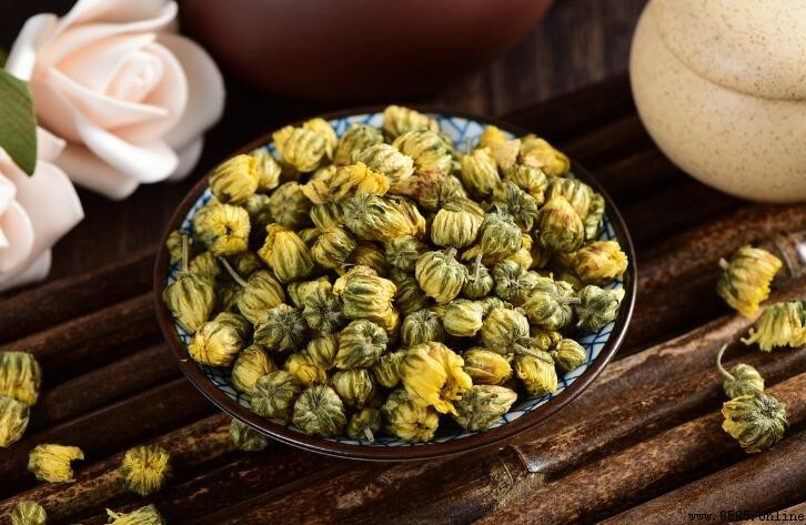 胎菊與菊花的差別在哪裡？