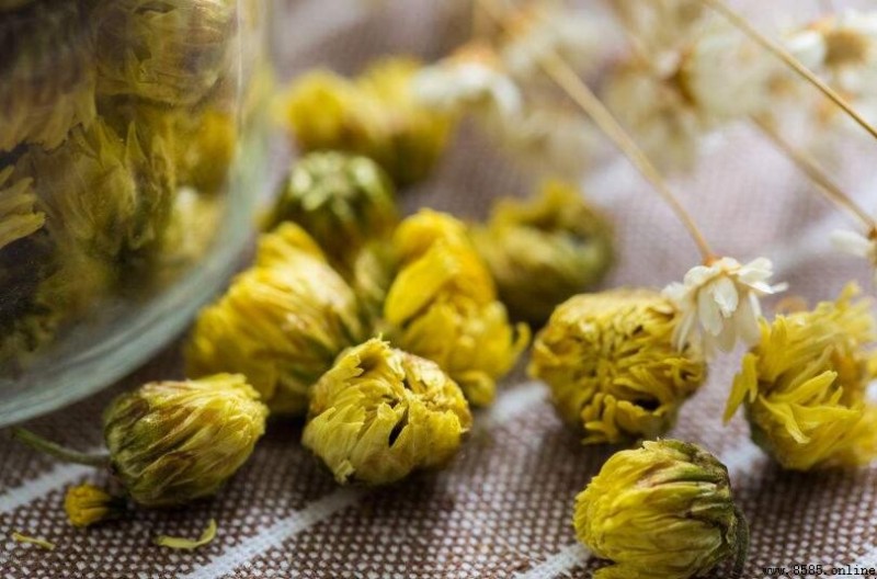 胎菊與貢菊的差異比較