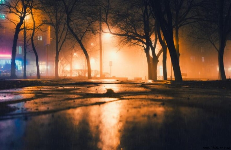 什麼的夜色