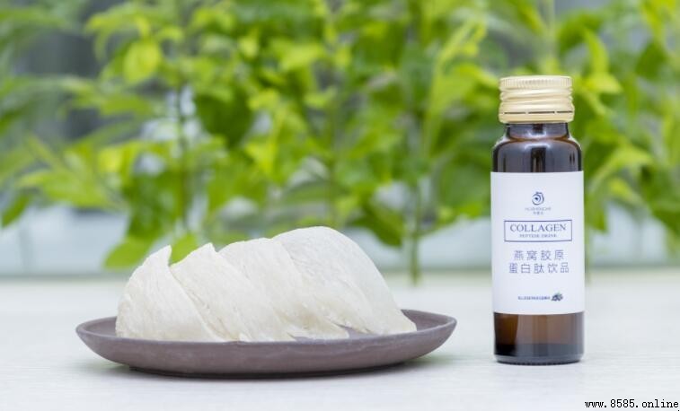 蛋白肽粉的功效與作用
