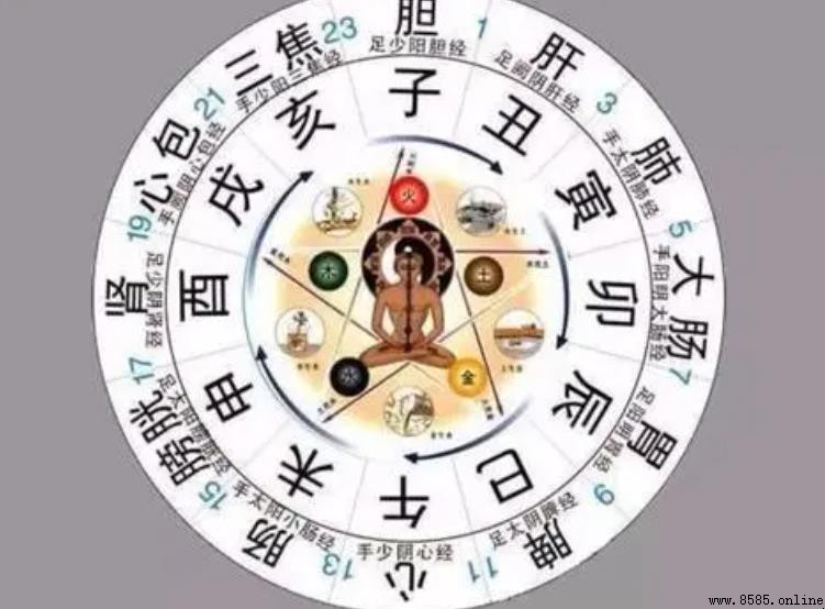 十二地支是什麼
