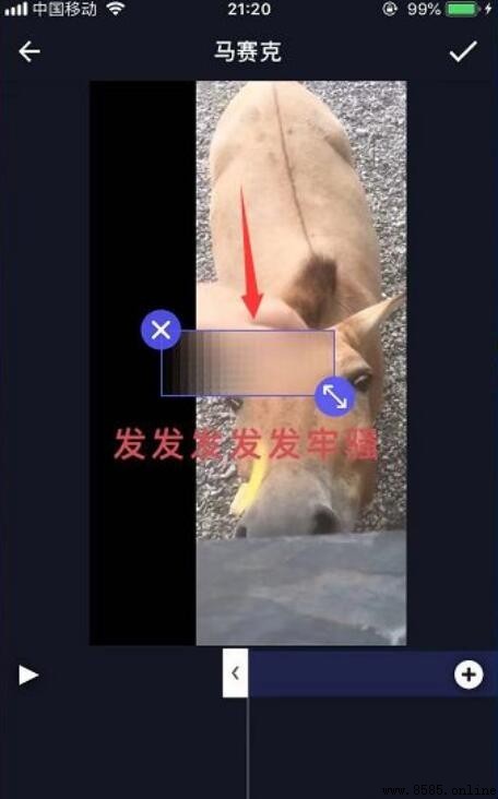 手把手教你如何为视频添加马赛克