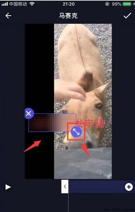 手把手教你如何为视频添加马赛克