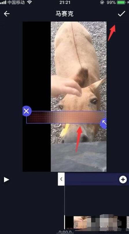 手把手教你如何为视频添加马赛克