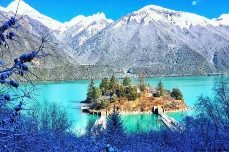 林芝縣海拔高度詳解