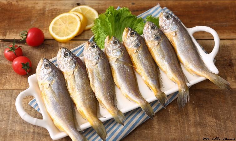 小黃魚是海魚還是淡水魚？解析其屬性與特點