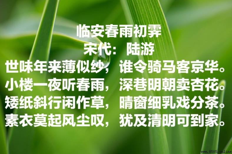 《临安春雨初霁》赏析：陆游晚年心境与艺术特色